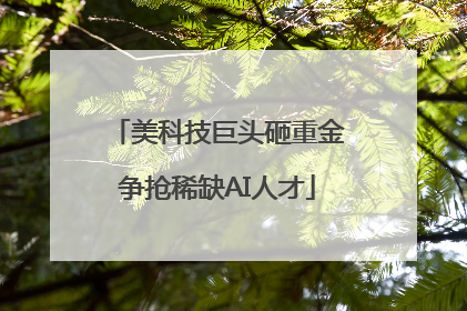 美科技巨头砸重金争抢稀缺AI人才
