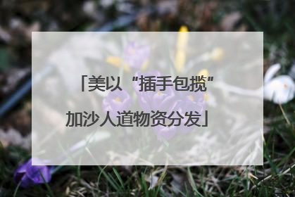 美以“插手包揽”加沙人道物资分发