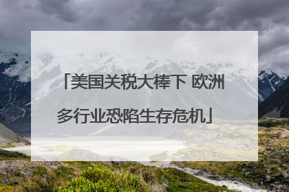 美国关税大棒下 欧洲多行业恐陷生存危机