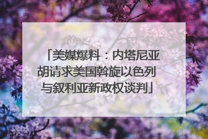 美媒爆料：内塔尼亚胡请求美国斡旋以色列与叙利亚新政权谈判