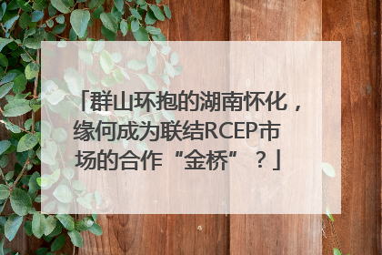 群山环抱的湖南怀化，缘何成为联结RCEP市场的合作“金桥”？