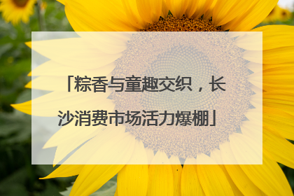 粽香与童趣交织，长沙消费市场活力爆棚