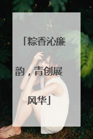 粽香沁廉韵，青创展风华