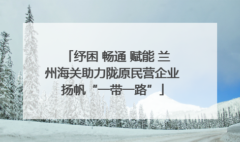 纾困 畅通 赋能 兰州海关助力陇原民营企业扬帆“一带一路”