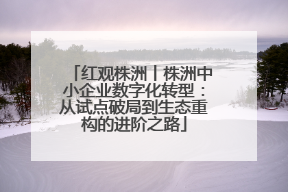 红观株洲丨株洲中小企业数字化转型：从试点破局到生态重构的进阶之路
