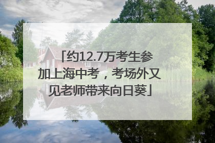 约12.7万考生参加上海中考，考场外又见老师带来向日葵