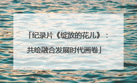 纪录片《绽放的花儿》：共绘融合发展时代画卷