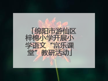 绵阳市游仙区梓棉小学开展小学语文“富乐课堂”教研活动