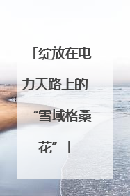 绽放在电力天路上的“雪域格桑花”