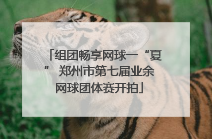 组团畅享网球一“夏” 郑州市第七届业余网球团体赛开拍