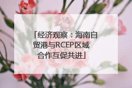 经济观察：海南自贸港与RCEP区域合作互促共进