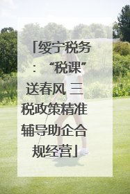 绥宁税务：“税课”送春风 三税政策精准辅导助企合规经营