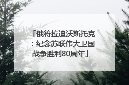 俄符拉迪沃斯托克：纪念苏联伟大卫国战争胜利80周年