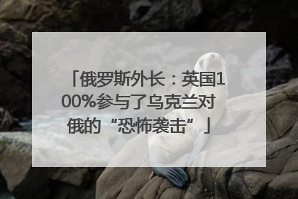俄罗斯外长：英国100%参与了乌克兰对俄的“恐怖袭击”