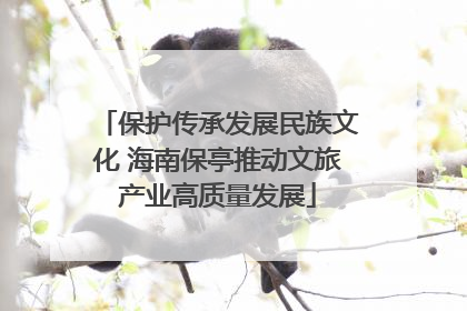 保护传承发展民族文化 海南保亭推动文旅产业高质量发展