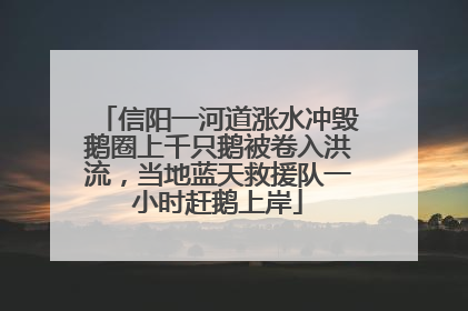 信阳一河道涨水冲毁鹅圈上千只鹅被卷入洪流，当地蓝天救援队一小时赶鹅上岸
