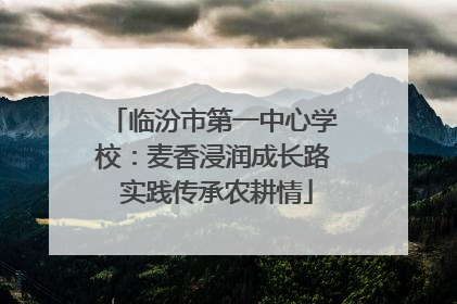 临汾市第一中心学校：麦香浸润成长路 实践传承农耕情