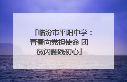 临汾市平阳中学：青春向党担使命 团徽闪耀践初心