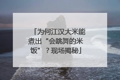 为何江汉大米能煮出“会跳舞的米饭”？现场揭秘