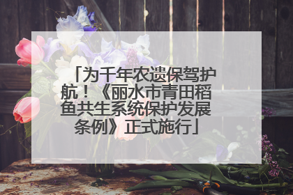 为千年农遗保驾护航！《丽水市青田稻鱼共生系统保护发展条例》正式施行