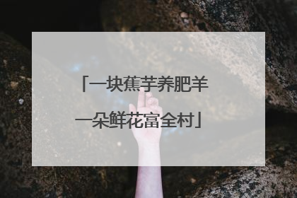 一块蕉芋养肥羊 一朵鲜花富全村