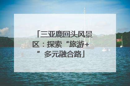 三亚鹿回头风景区：探索“旅游+”多元融合路