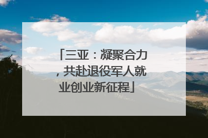 三亚：凝聚合力，共赴退役军人就业创业新征程