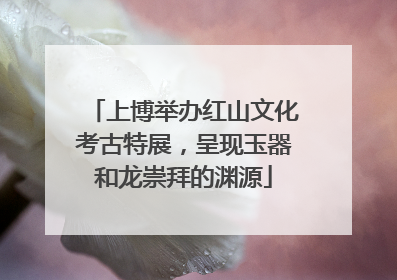 上博举办红山文化考古特展，呈现玉器和龙崇拜的渊源