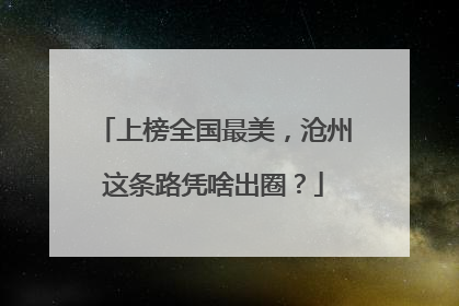 上榜全国最美，沧州这条路凭啥出圈？