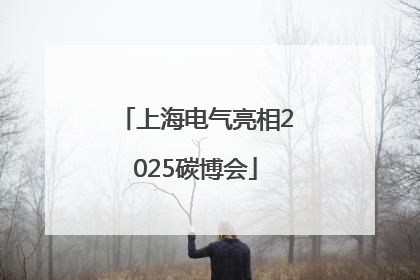 上海电气亮相2025碳博会