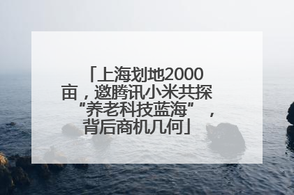 上海划地2000亩，邀腾讯小米共探“养老科技蓝海”，背后商机几何
