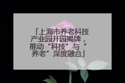 上海市养老科技产业园开园揭牌，推动“科技”与“养老”深度融合
