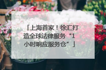 上海首家！徐汇打造全球法律服务“1小时响应服务仓”