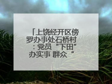 上饶经开区傍罗办事处石桥村：党员“下田”办实事 群众“点赞”笑开颜