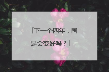 下一个四年，国足会变好吗？