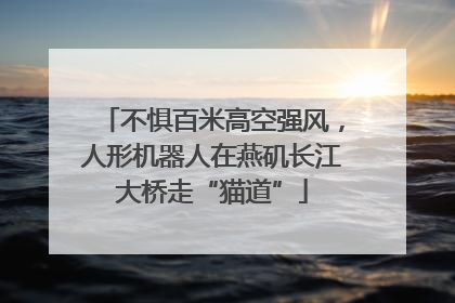 不惧百米高空强风，人形机器人在燕矶长江大桥走“猫道”