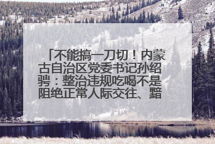 不能搞一刀切！内蒙古自治区党委书记孙绍骋：整治违规吃喝不是阻绝正常人际交往、黯淡人间烟火