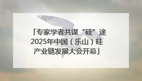 专家学者共谋“硅”途 2025年中国（乐山）硅产业链发展大会开幕