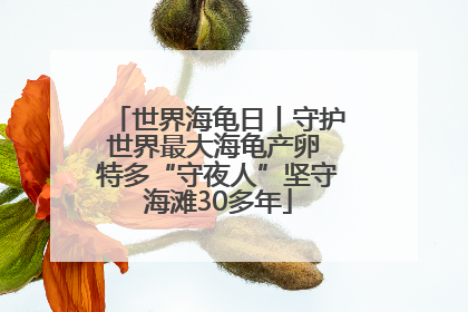 世界海龟日丨守护世界最大海龟产卵 特多“守夜人”坚守海滩30多年