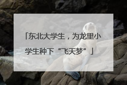 东北大学生，为龙里小学生种下“飞天梦”