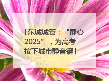 东城城管：“静心2025”，为高考按下城市静音键
