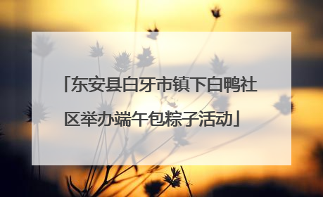 东安县白牙市镇下白鸭社区举办端午包粽子活动