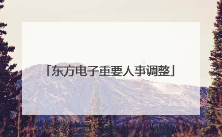 东方电子重要人事调整