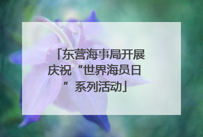 东营海事局开展庆祝“世界海员日”系列活动