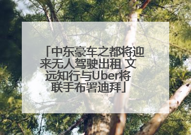 中东豪车之都将迎来无人驾驶出租 文远知行与Uber将联手布署迪拜