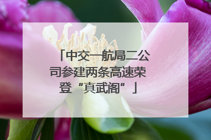 中交一航局二公司参建两条高速荣登“真武阁”