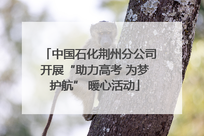 中国石化荆州分公司开展“助力高考 为梦护航” 暖心活动