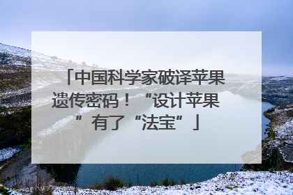 中国科学家破译苹果遗传密码！“设计苹果”有了“法宝”