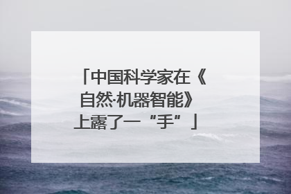 中国科学家在《自然·机器智能》上露了一“手”