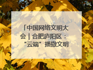 中国网络文明大会｜合肥庐阳区：“云端”播撒文明种子 共建清朗网络空间